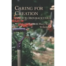 Caring for Creation in Your Own Backyard