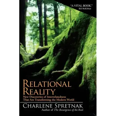 Relational Reality: New Discoveries of Interrelatedness That Are Transforming the Modern World