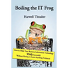 Boiling the IT Frog: How to Make Your Business Information Technology Wildly Successful Without Having to Learn Anything Technical