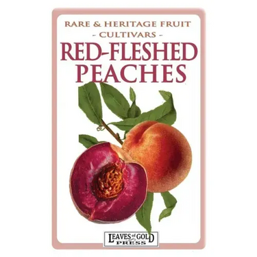Red-fleshed Peaches