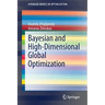Bayesian and High-Dimensional Global Optimization