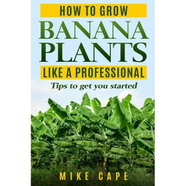 How to grow Banana Plants like a Professional: Beginner's guide and tips to get you started