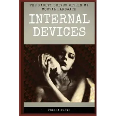 Internal Devices: The Faulty Drives Within My Mortal Hardware
