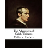 The Adventures of Caleb Williams: Things as They Are