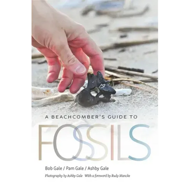 A Beachcomber's Guide to Fossils