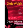 Down Trident: when peaceful protest becomes violent