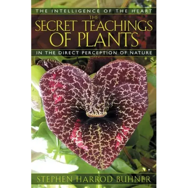 The Secret Teachings of Plants: The Intelligence of the Heart in the Direct Perception of Nature