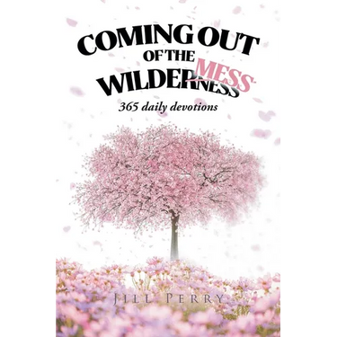Coming Out of the WilderMess: 365 daily devotions