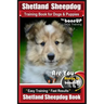Shetland Sheepdog Training Book for Dogs & Puppies By BoneUP DOG Training: Are You Ready to Bone Up? Easy Training * Fast Results, Sheltand Sheepdog B