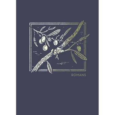 Net Abide Bible Journal - Romans, Paperback, Comfort Print: Holy Bible