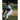 Rehab to Throw Like a Pro: The Clinician's Guide