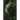 A Journey Through Pines