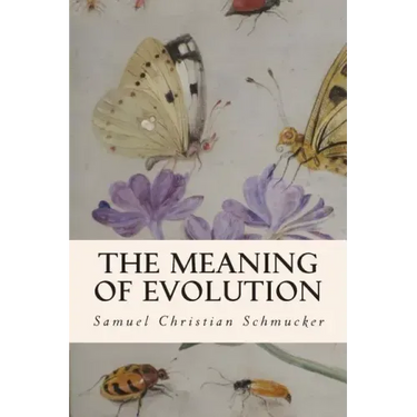 The Meaning of Evolution
