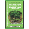 The Miracle Tree With Organic Healing Superfood, Change your life with Moringa Oleifera: The food medicine for natural remedies and self healing power