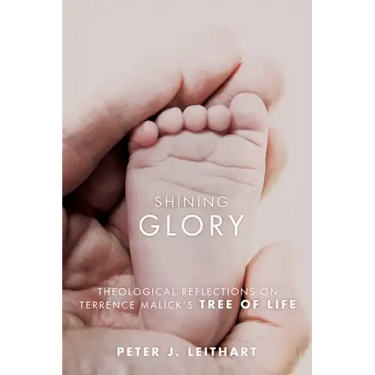 Shining Glory: Theological Reflections on Terrence Malick's Tree of Life