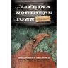 ... Life in a Northern Town: Small Places in a Big World. Big Worlds in Small Places.