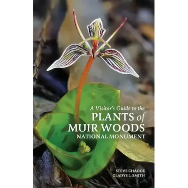 A Visitor's Guide to the Plants of Muir Woods National Monument