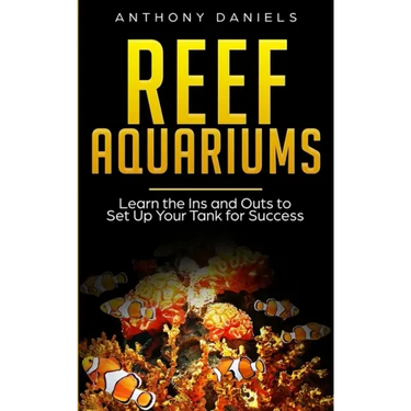 Reef Aquariums: Learn the Ins and Outs to Set Up Your Tank for Success
