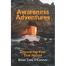 Awareness Adventures: Discovering Your True Nature
