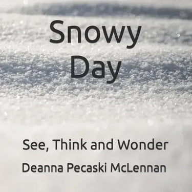 Snowy Day: See, Think and Wonder