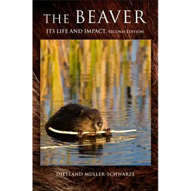 The Beaver: Natural History of a Wetlands Engineer