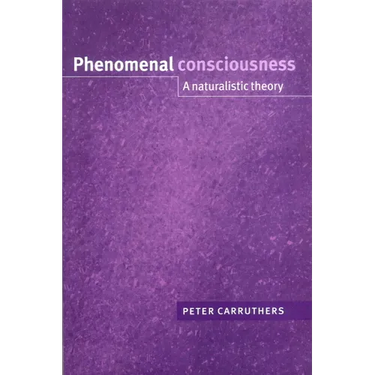 Phenomenal Consciousness: A Naturalistic Theory