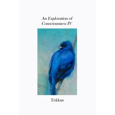 An Exploration of Consciousness IV