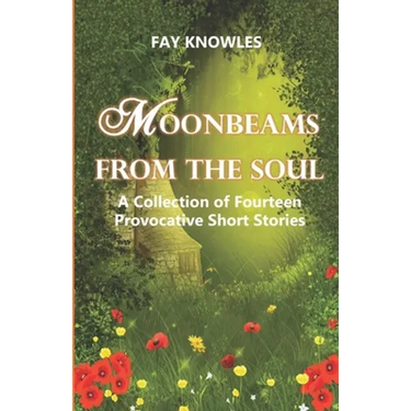 Moonbeams from the Soul: A Collection of Fourteen Provocative Short Stories