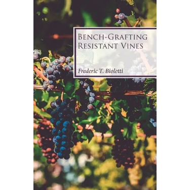 Bench-Grafting Resistant Vines