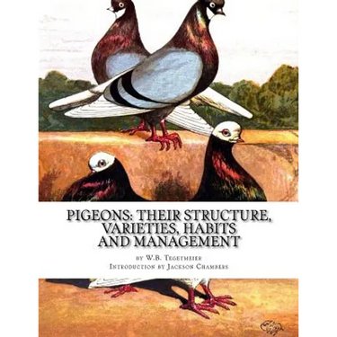 Pigeons: Their Structure, Varieties, Habits and Management: Pigeon Classics Book 12