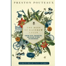 The Bees of Rainbow Falls: Finding Faith, Imagination, and Delight in Your Neighbourhood