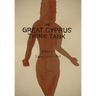 The Great Cyprus Think Tank