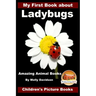 My First Book about Ladybugs - Amazing Animal Books - Children's Picture Books