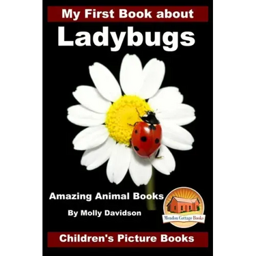 My First Book about Ladybugs - Amazing Animal Books - Children's Picture Books