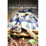 Turtle Or Tortoise - Curious Kids Press: Kids book about animals and wildlife, Children's books 4-6