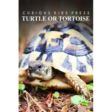 Turtle Or Tortoise - Curious Kids Press: Kids book about animals and wildlife, Children's books 4-6
