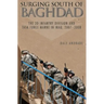 Surging South of Baghdad: The 3D Infantry Division and Task Force Marne in Iraq, 2007-2008