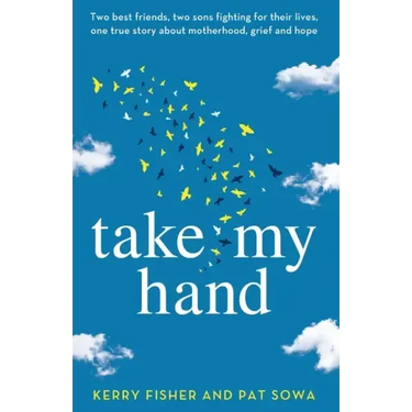 Take My Hand: Two best friends, two sons fighting for their lives, one true story about motherhood, grief and hope.