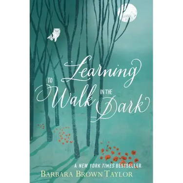 Learning to Walk in the Dark: Because Sometimes God Shows Up at Night