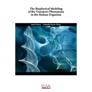 The Biophysical Modeling of the Transport Phenomena in the Human Organism