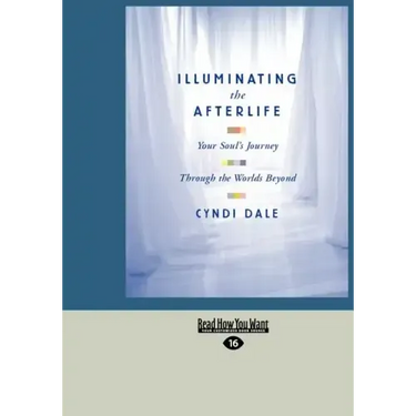 Illuminating the Afterlife: Your Soul's Journey Through the Worlds Beyond (Easyread Large Edition)