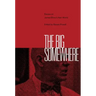 The Big Somewhere: Essays on James Ellroy's Noir World