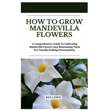 How to Grow Mandevilla Flowers: A Comprehensive Guide To Cultivating Mandevilla Flowers And Maintaining Them For Visually Striking Presentations.