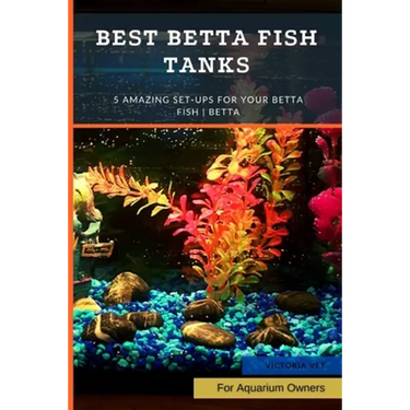 Best Betta Fish Tanks: 5 Amazing Set-Ups for Your Betta Fish Betta ...