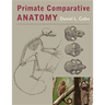 Primate Comparative Anatomy