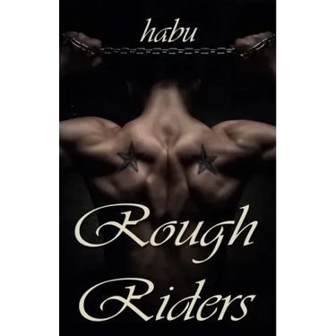 Rough Riders: A Gay Erotica Anthology