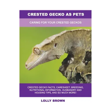 Crested Gecko as Pets: Caring For Your Crested Geckos