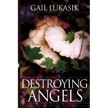 Destroying Angels: A Leigh Girard Mystery