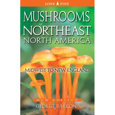 Mushrooms of Northeast North America: Midwest to New England