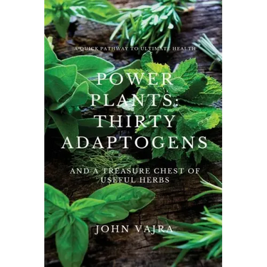 Power Plants: Thirty Adaptogens: And a Treasure Chest of Useful Herbs